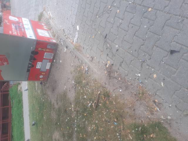 Uporządkowanie terenu