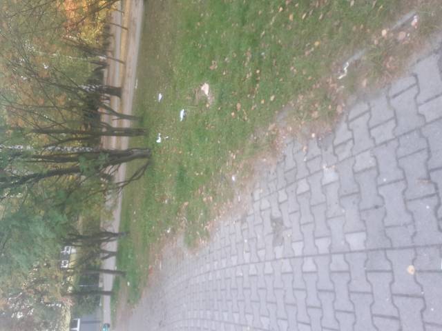 Pełno śmieci przy Bramie Słońca 