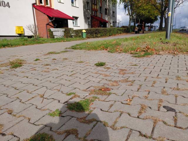 Naprawa nawierzchni chodnika przy przejściu dla pieszych ul. R. Dmowskiego 94