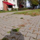 Naprawa nawierzchni chodnika przy przejściu dla pieszych ul. R. Dmowskiego 94<span class="fix-status status-3">Ukończony</span>